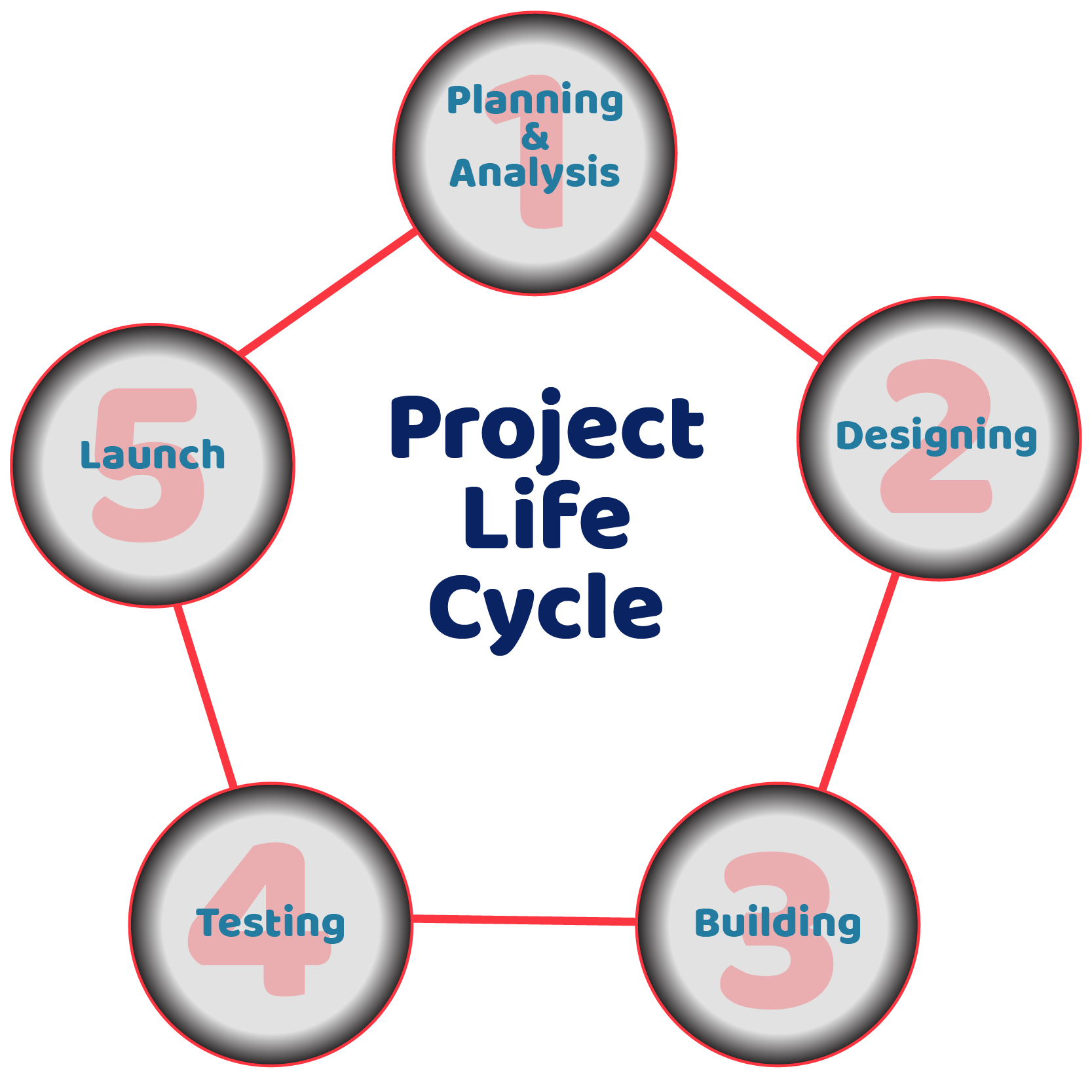 Project Life Cycle
